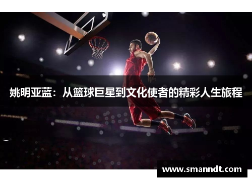 姚明亚蓝：从篮球巨星到文化使者的精彩人生旅程