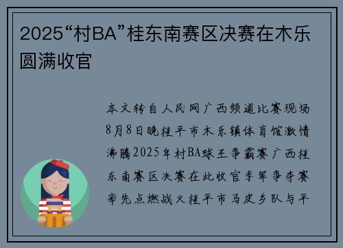 2025“村BA”桂东南赛区决赛在木乐圆满收官